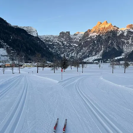 Familie Meilinger - Daire *