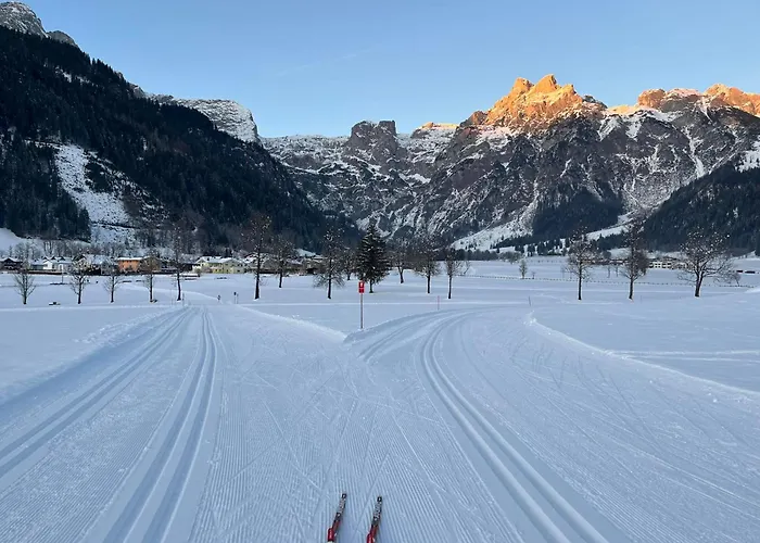 Familie Meilinger - Apartmán *