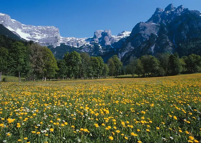 Familie Meilinger - Werfenweng